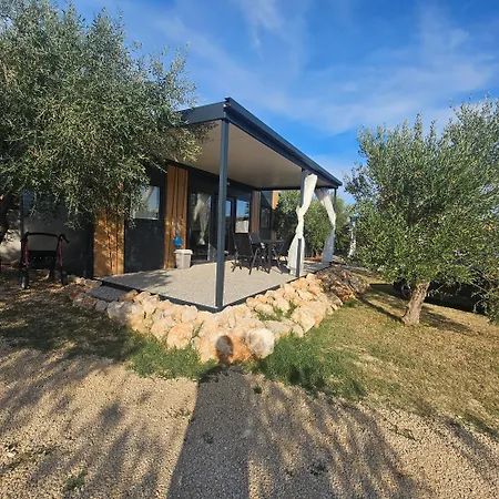 Mobile Ria キャンプ場