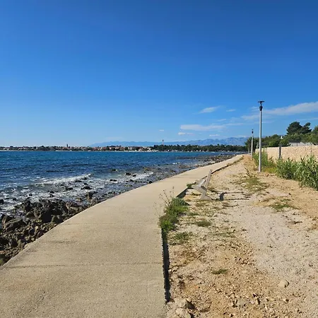 キャンプ場 Mobile Ria